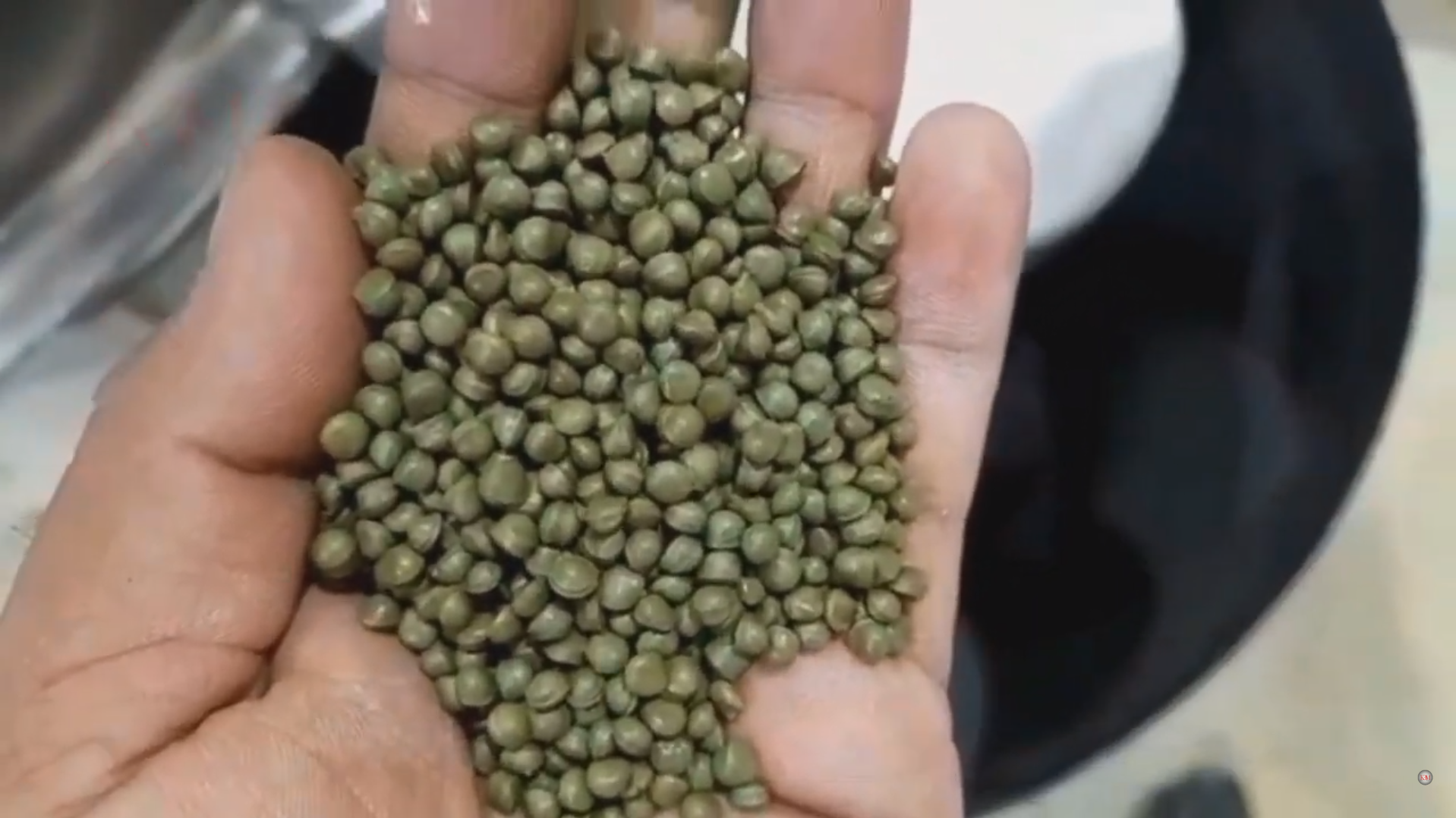 Plastic Recycling with KBM’s Full Washing Line & Cutter Compactor Plant