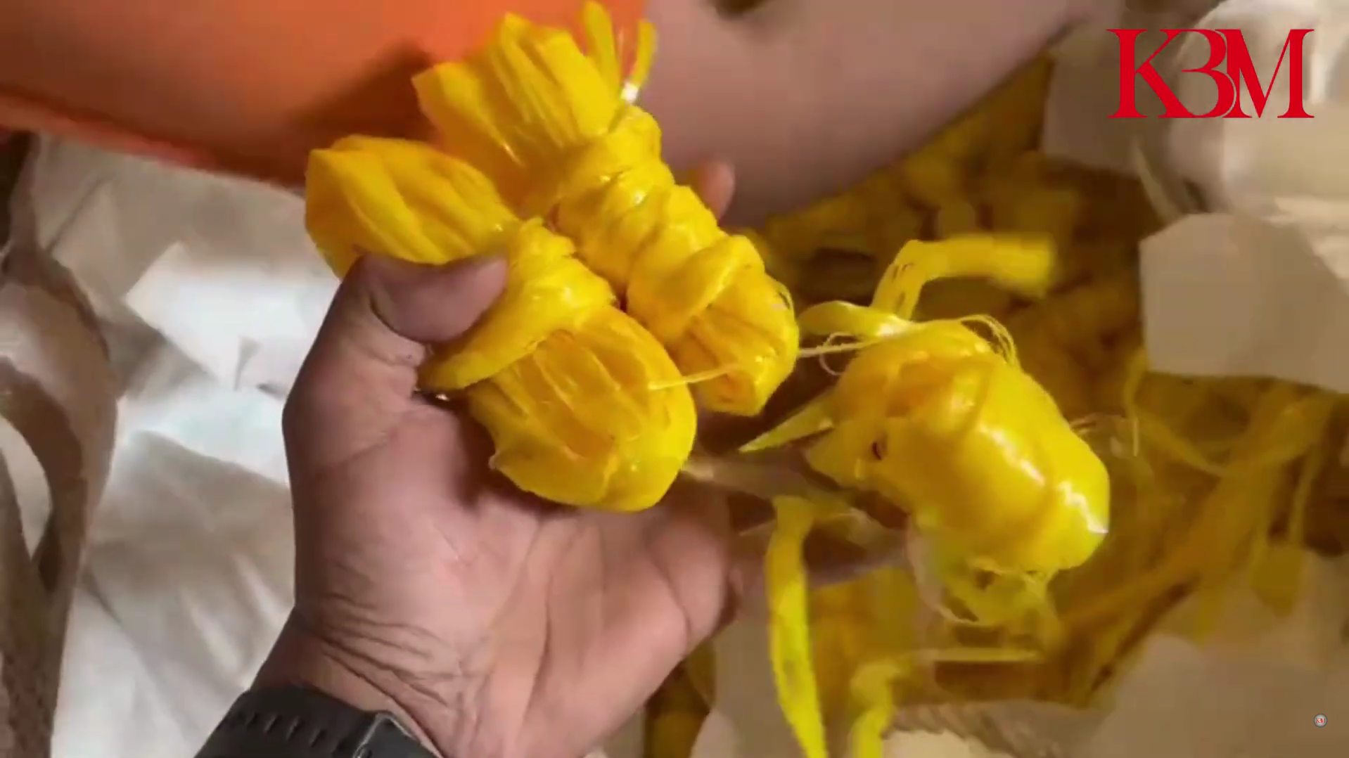 75CC DFC + Grinder Material PP Rope